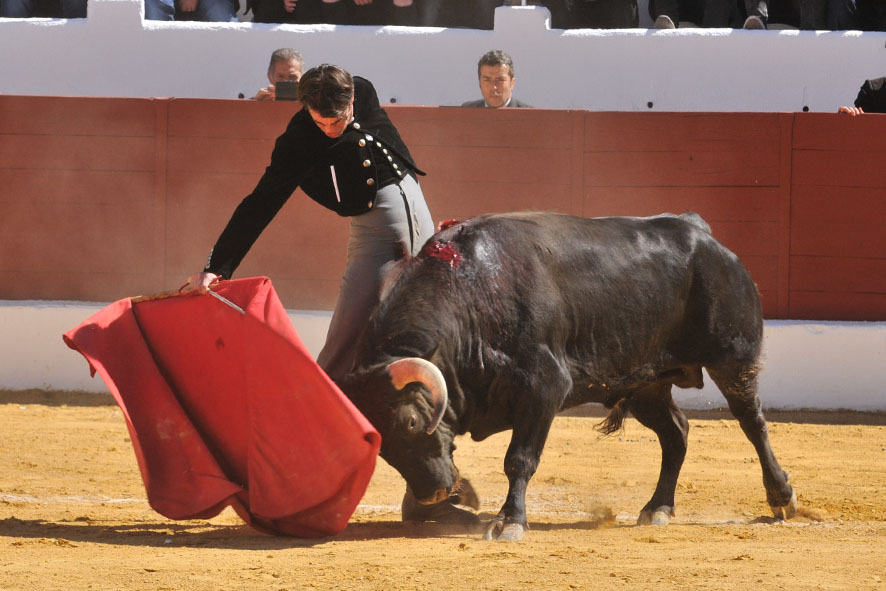 Pegalajar (Jaén), domingo 10 de marzo de 2019. Festival