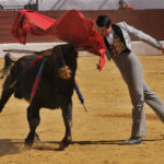 Pegalajar (Jaén), domingo 10 de marzo de 2019. Festival