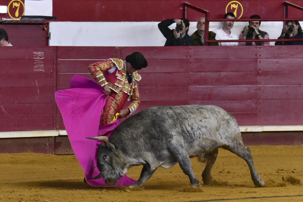 Arroyo de la Encomienda, sábado 23 de marzo de 2019