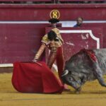 Arroyo de la Encomienda, sábado 23 de marzo de 2019