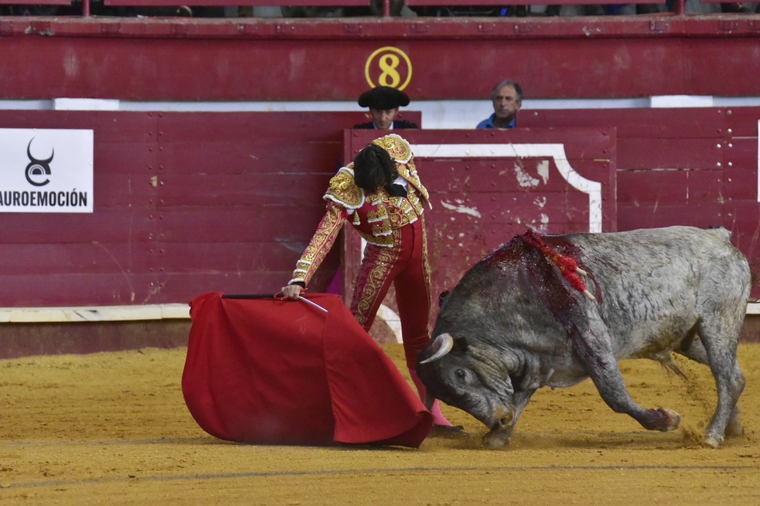 Arroyo de la Encomienda, sábado 23 de marzo de 2019