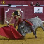 Arroyo de la Encomienda, sábado 23 de marzo de 2019