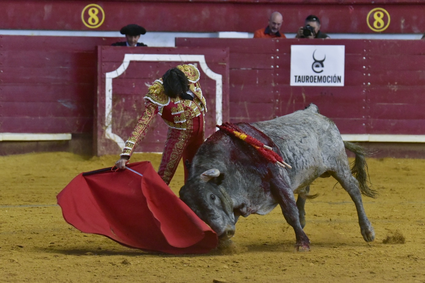 Arroyo de la Encomienda, sábado 23 de marzo de 2019