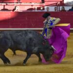 Arroyo de la Encomienda, sábado 23 de marzo de 2019