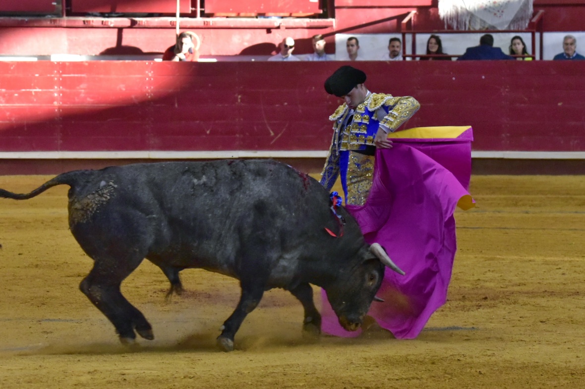 Arroyo de la Encomienda, sábado 23 de marzo de 2019