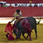 Arroyo de la Encomienda, sábado 23 de marzo de 2019