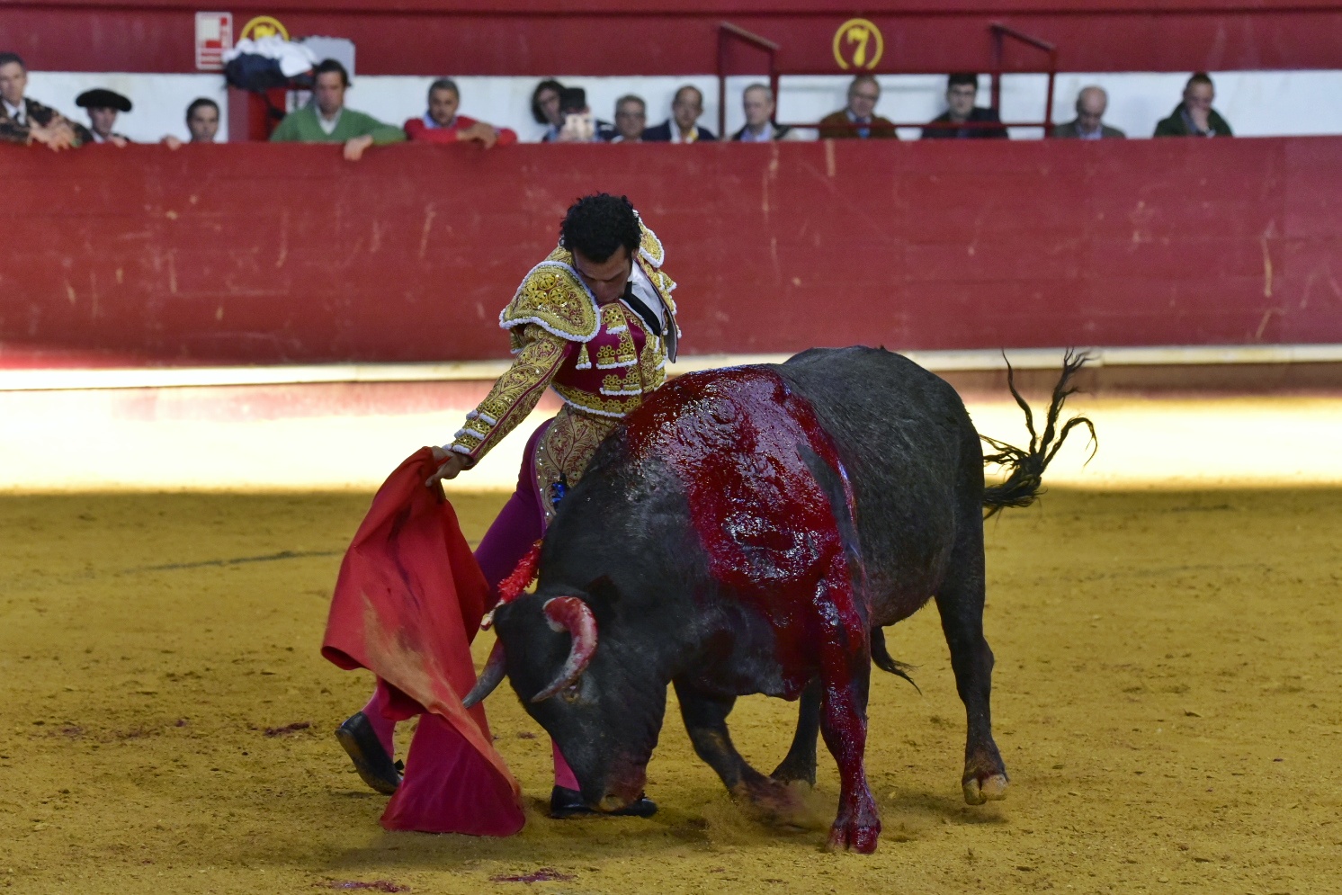 Arroyo de la Encomienda, sábado 23 de marzo de 2019