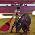 Arroyo de la Encomienda, sábado 23 de marzo de 2019