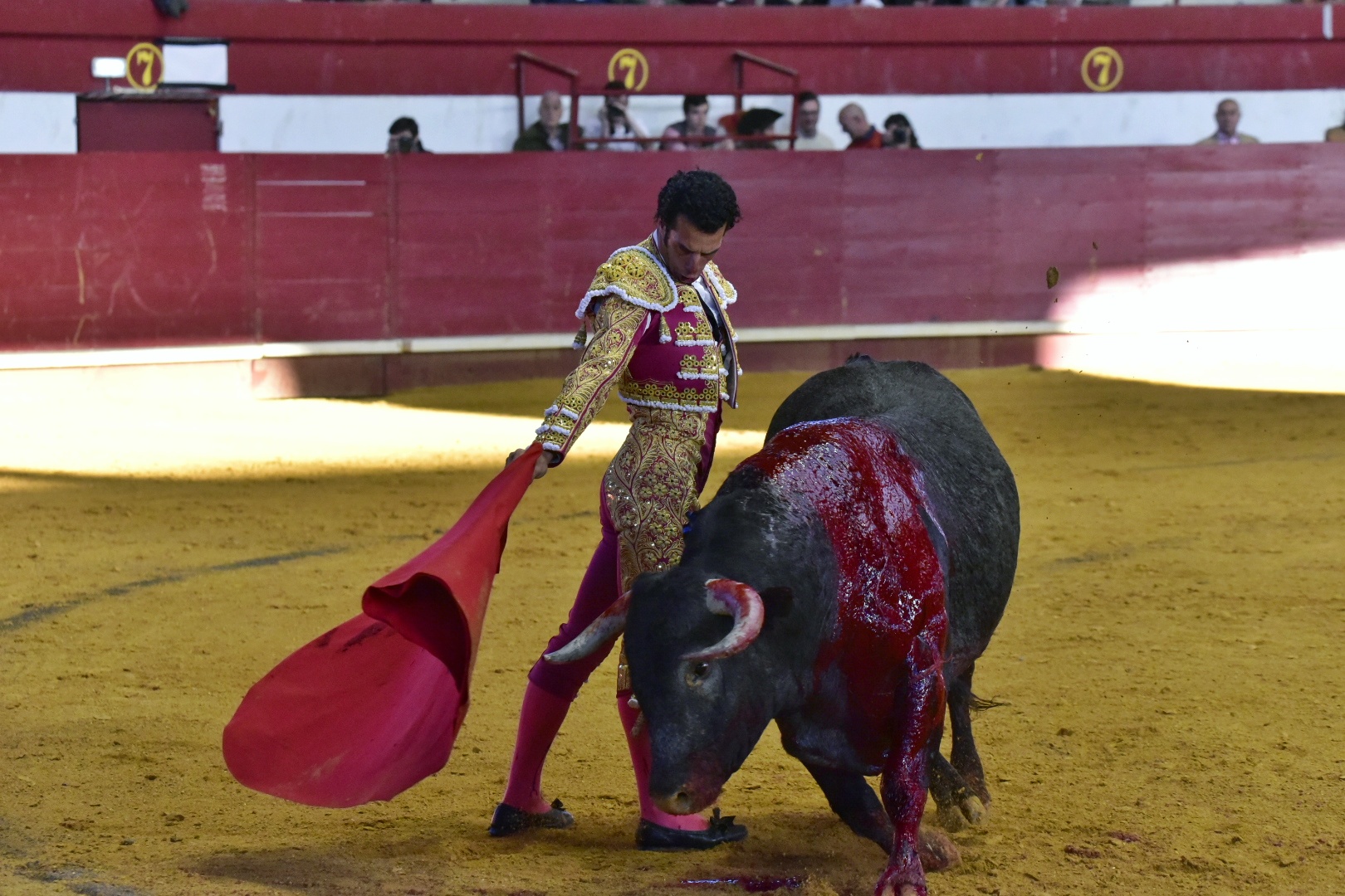 Arroyo de la Encomienda, sábado 23 de marzo de 2019