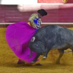 Arroyo de la Encomienda, sábado 23 de marzo de 2019