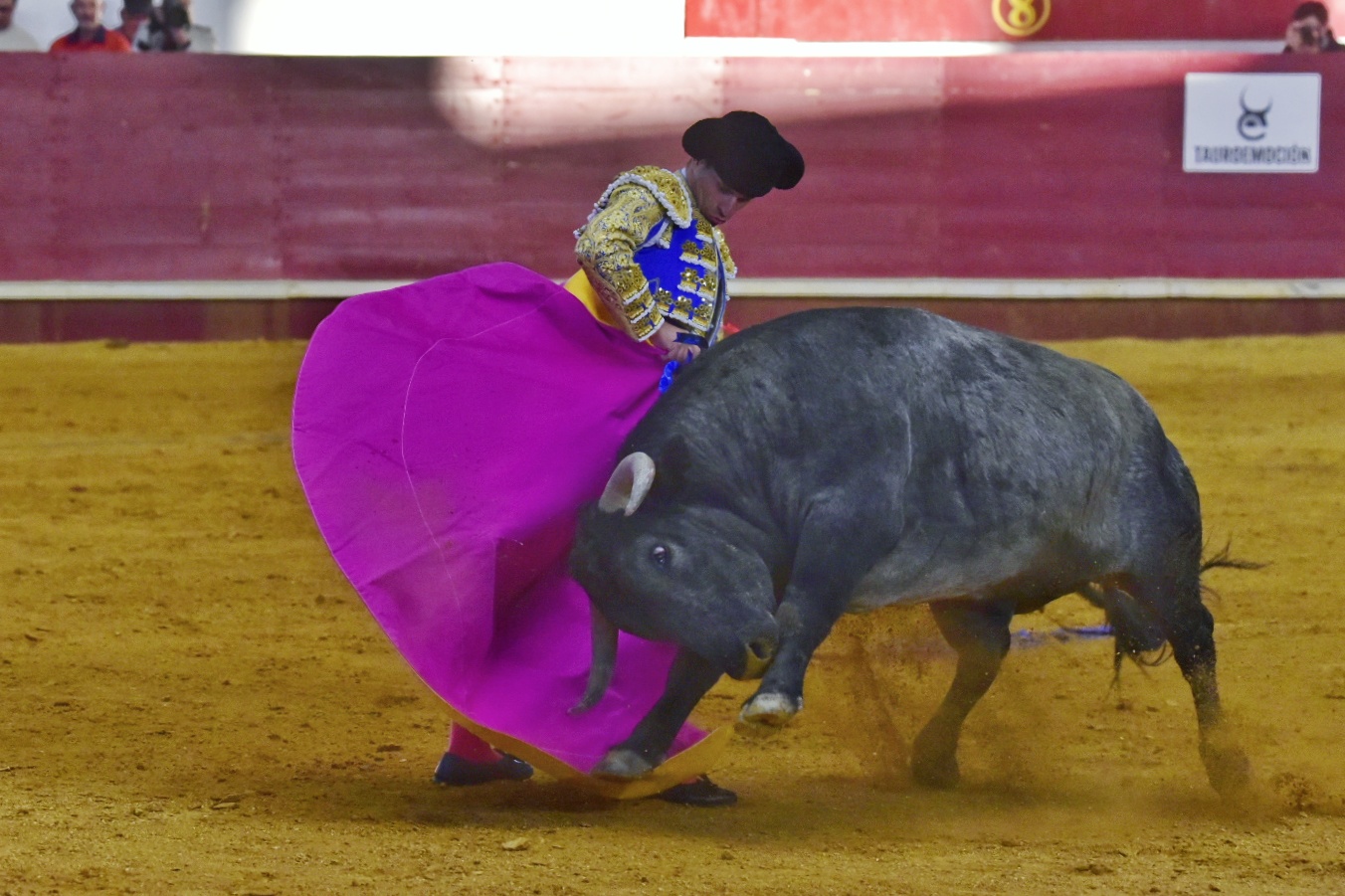 Arroyo de la Encomienda, sábado 23 de marzo de 2019