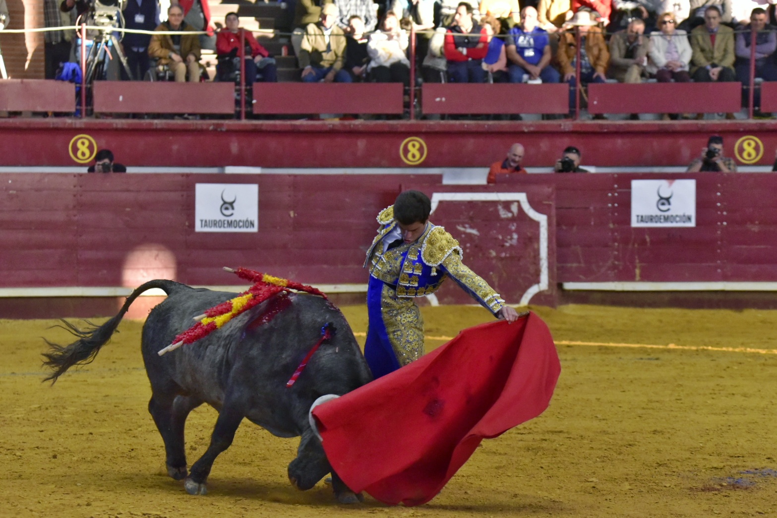 Arroyo de la Encomienda, sábado 23 de marzo de 2019