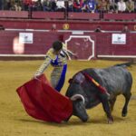 Arroyo de la Encomienda, sábado 23 de marzo de 2019