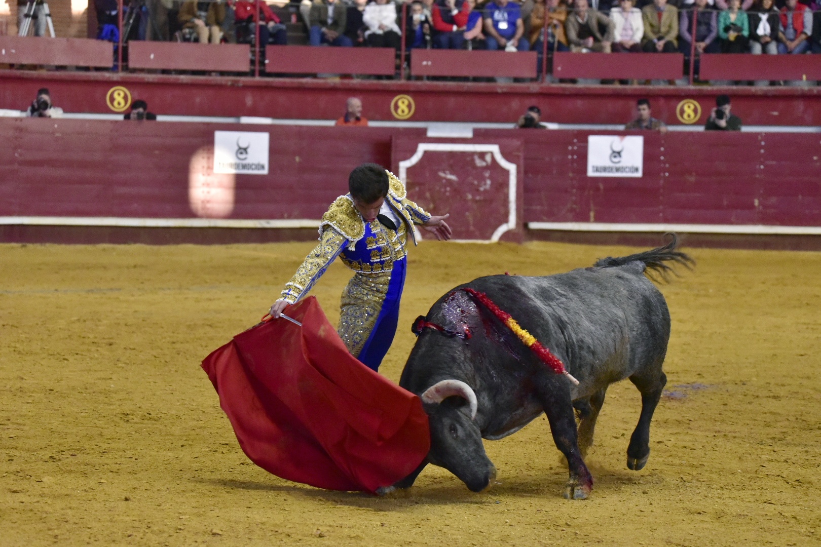 Arroyo de la Encomienda, sábado 23 de marzo de 2019