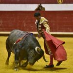 Arroyo de la Encomienda, sábado 23 de marzo de 2019