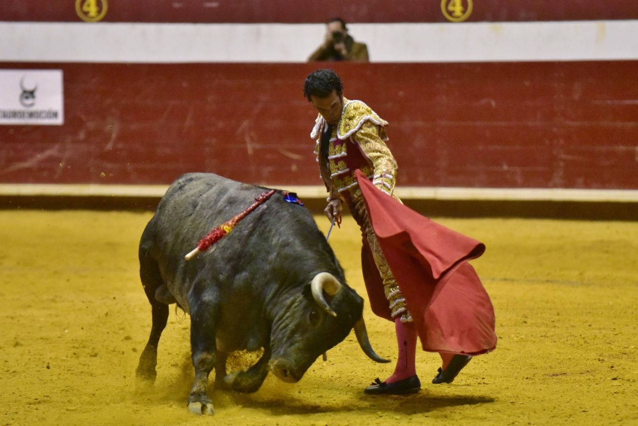 Arroyo de la Encomienda, sábado 23 de marzo de 2019