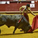 Arroyo de la Encomienda, sábado 23 de marzo de 2019