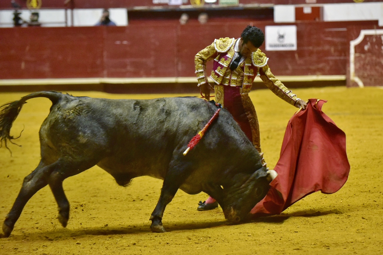 Arroyo de la Encomienda, sábado 23 de marzo de 2019