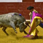 Arroyo de la Encomienda, sábado 23 de marzo de 2019