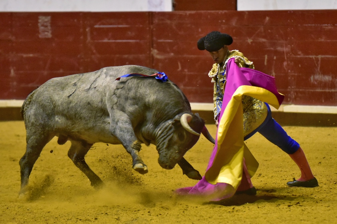 Arroyo de la Encomienda, sábado 23 de marzo de 2019