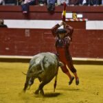 Arroyo de la Encomienda, sábado 23 de marzo de 2019