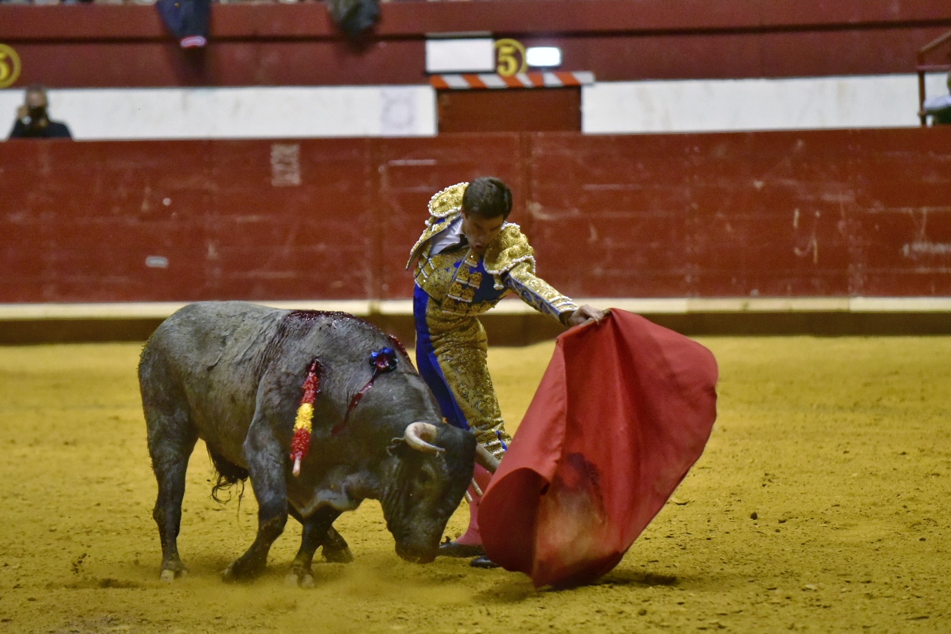 Arroyo de la Encomienda, sábado 23 de marzo de 2019