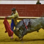 Arroyo de la Encomienda, sábado 23 de marzo de 2019