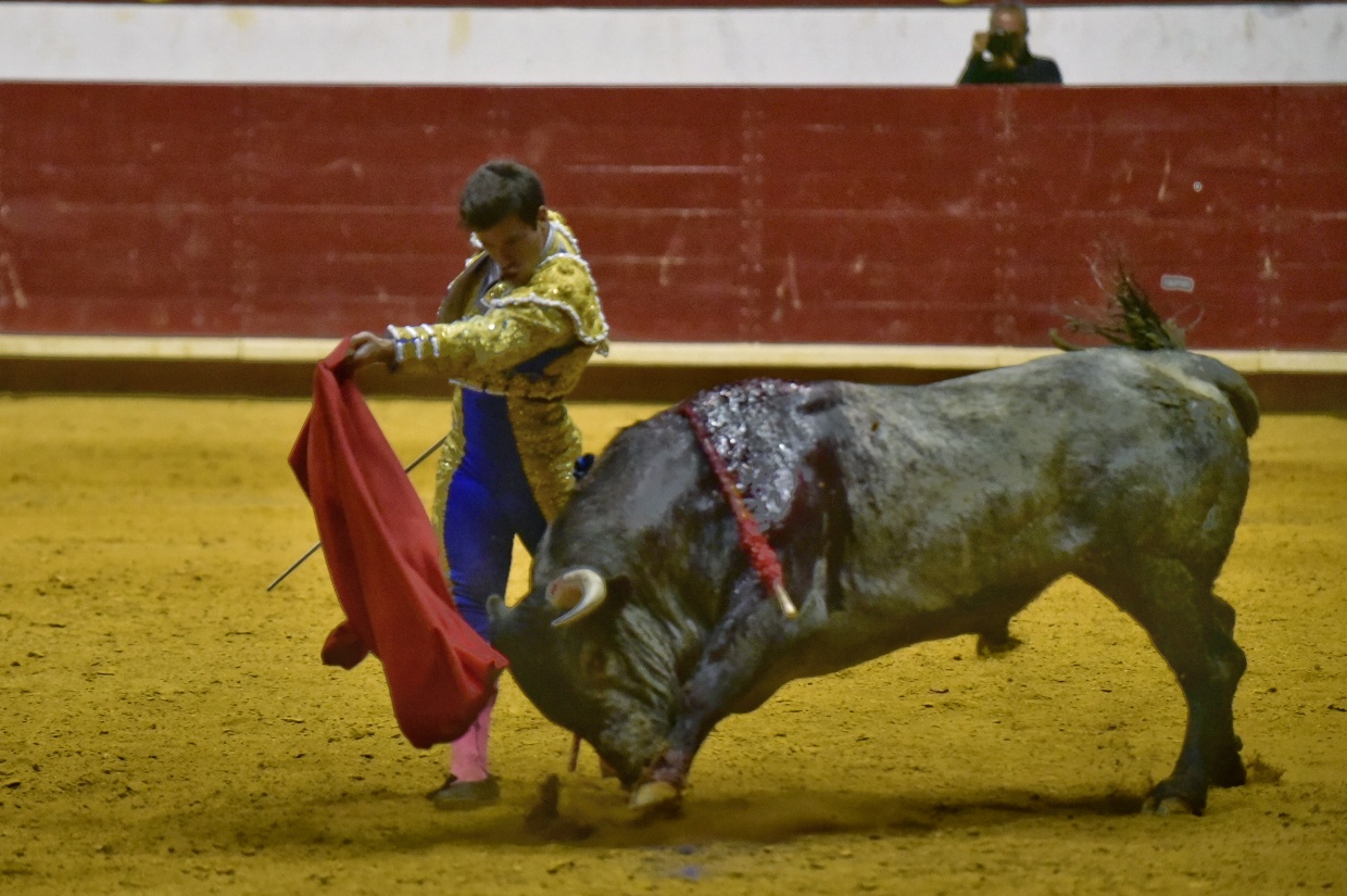 Arroyo de la Encomienda, sábado 23 de marzo de 2019