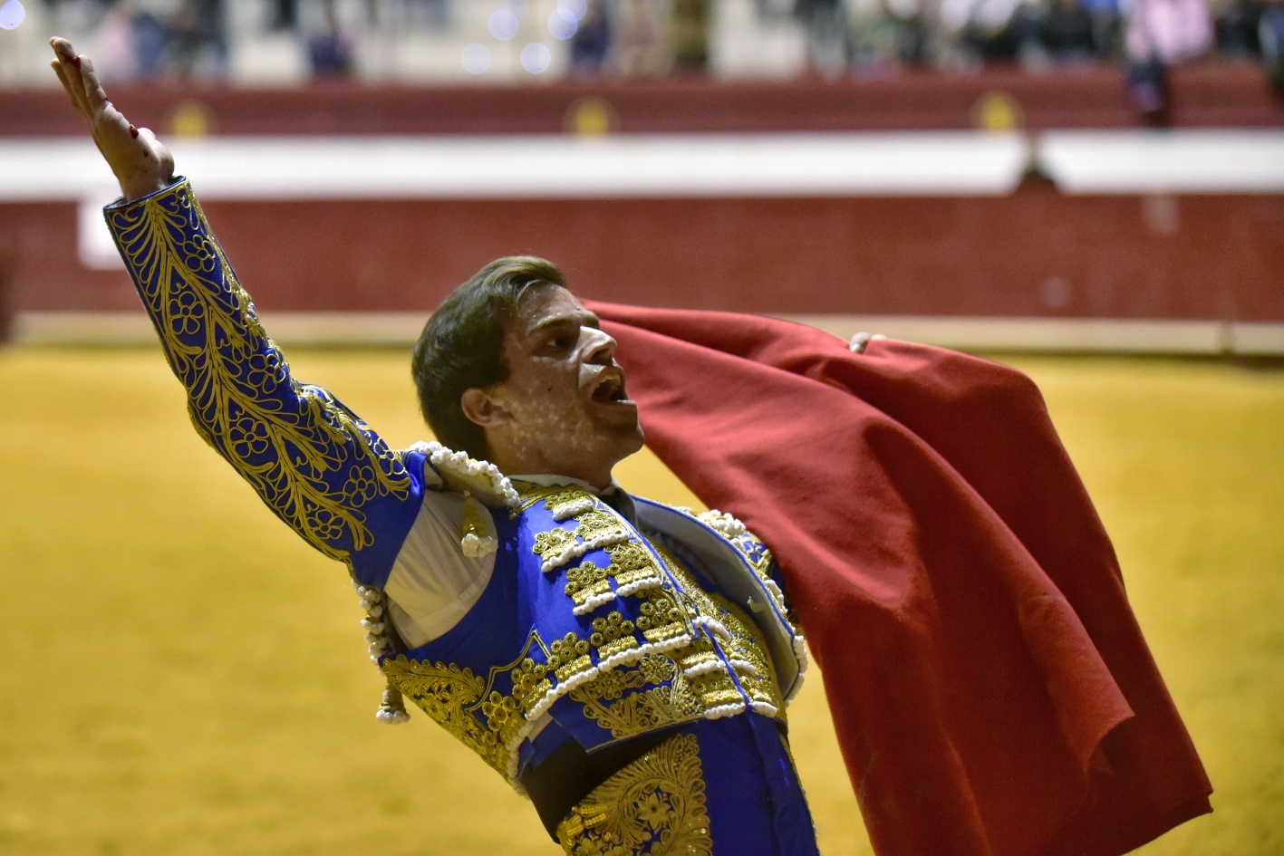 Arroyo de la Encomienda, sábado 23 de marzo de 2019