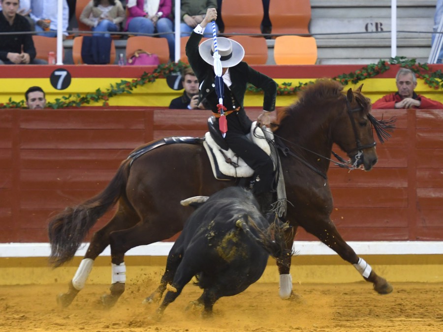 Illescas, domingo 10 de marzo de 2019