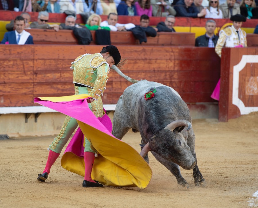 Castellón, domingo 24 de marzo de 2019