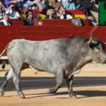 Castellón, domingo 24 de marzo de 2019