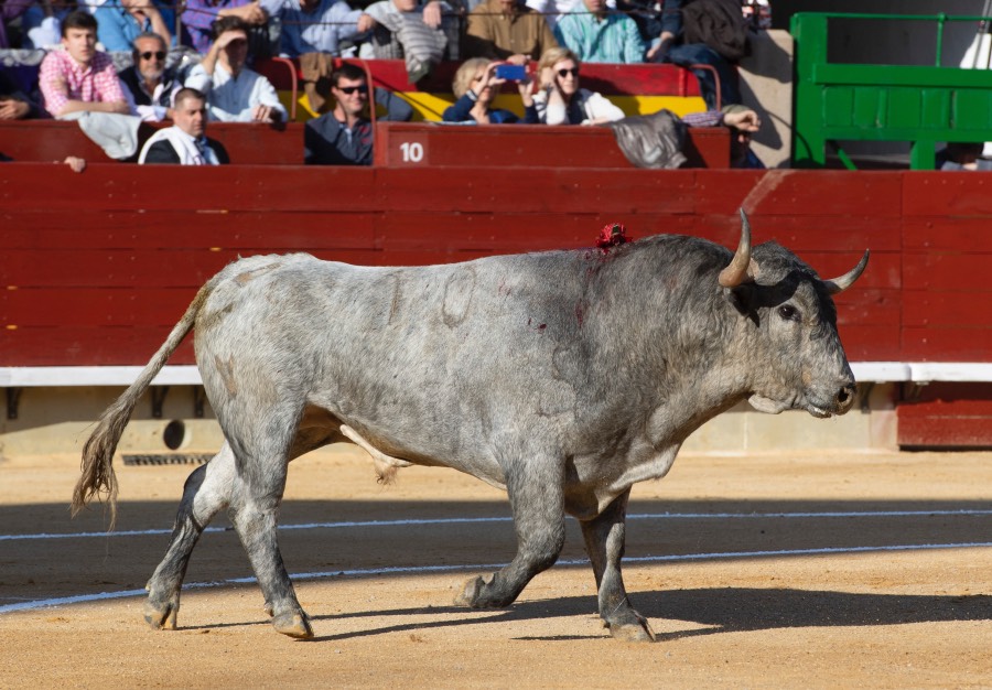 Castellón, domingo 24 de marzo de 2019