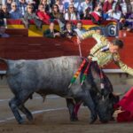 Castellón, domingo 24 de marzo de 2019
