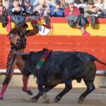 Castellón, domingo 24 de marzo de 2019