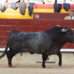 Castellón, domingo 24 de marzo de 2019