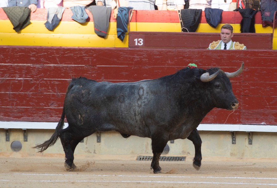 Castellón, domingo 24 de marzo de 2019
