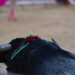 Castellón, domingo 24 de marzo de 2019