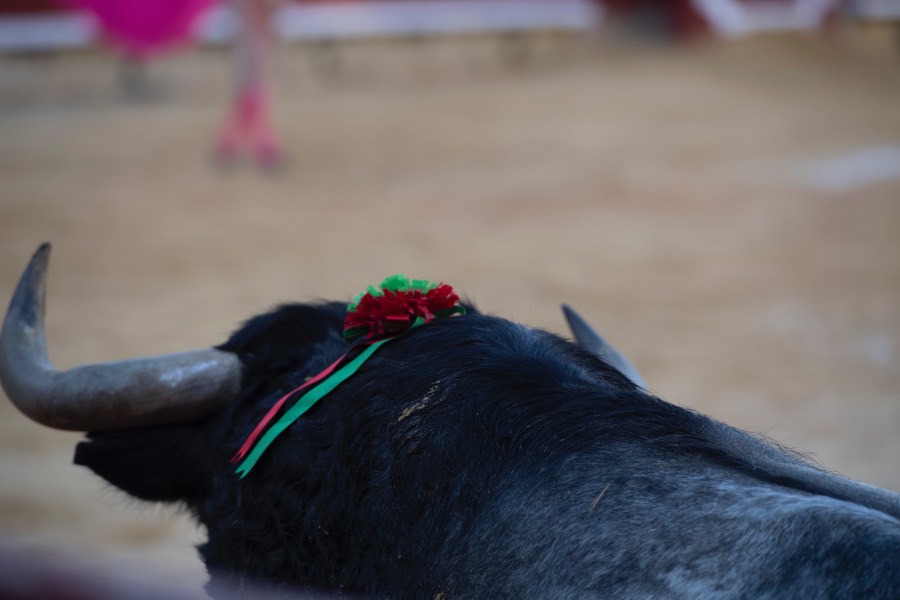 Castellón, domingo 24 de marzo de 2019