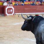 Castellón, domingo 24 de marzo de 2019