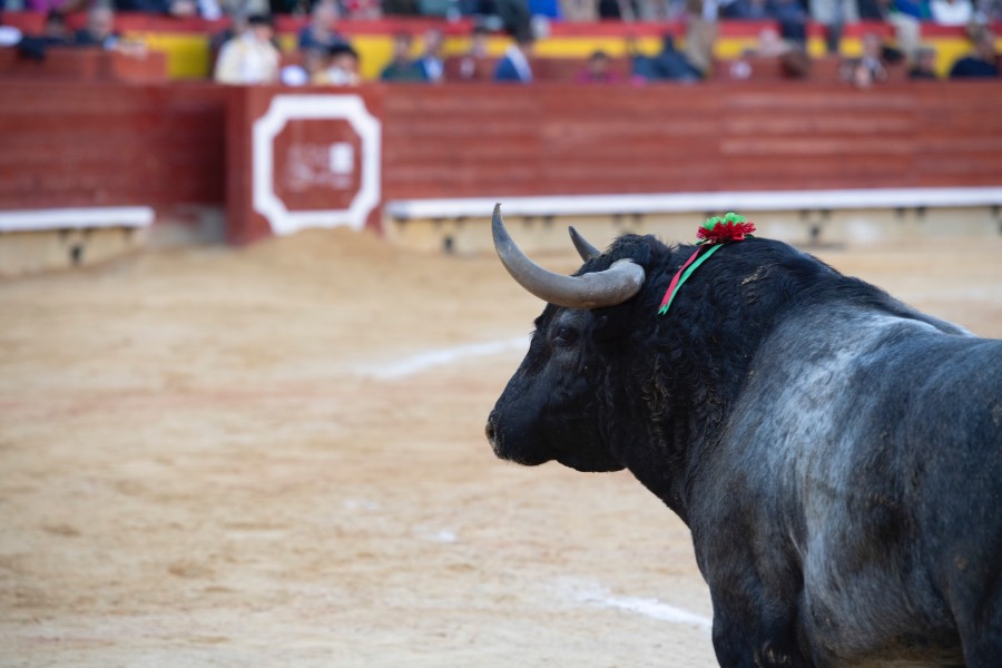 Castellón, domingo 24 de marzo de 2019