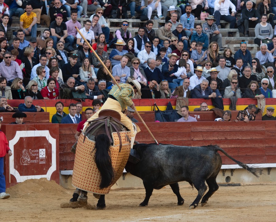 Castellón, domingo 24 de marzo de 2019
