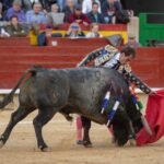 Castellón, domingo 24 de marzo de 2019