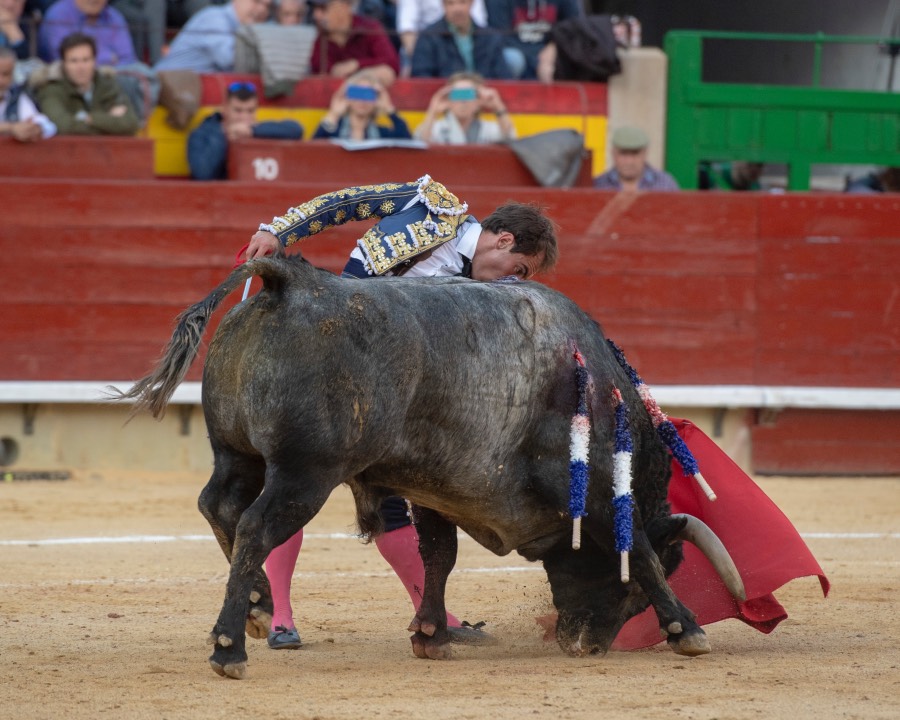 Castellón, domingo 24 de marzo de 2019