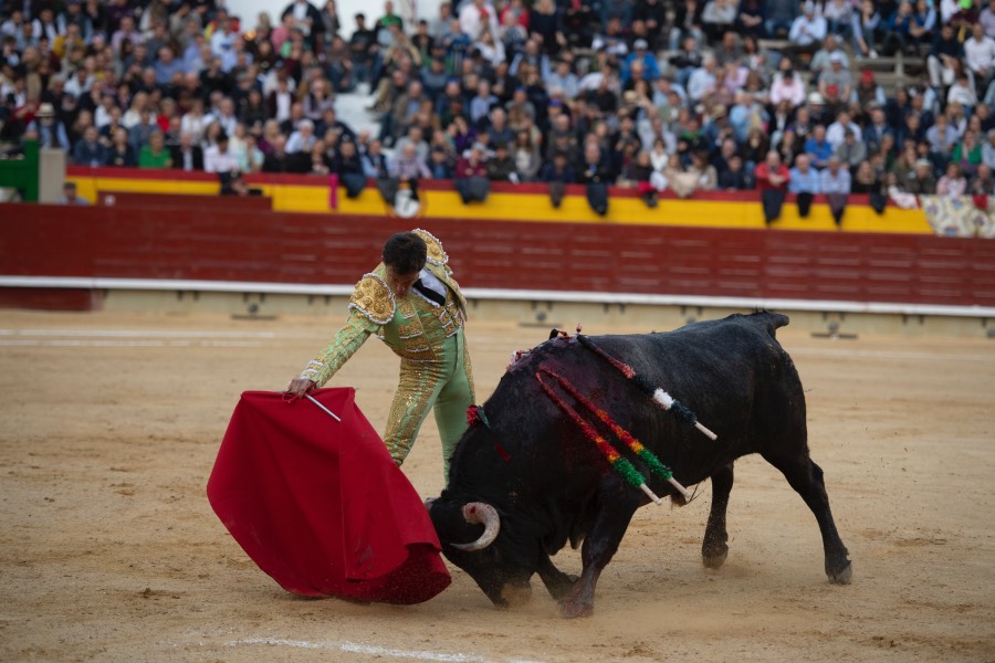 Castellón, domingo 24 de marzo de 2019