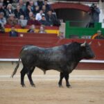 Castellón, domingo 24 de marzo de 2019