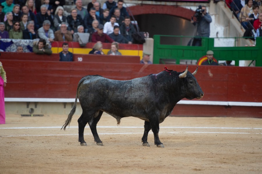 Castellón, domingo 24 de marzo de 2019