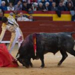 Castellón, domingo 24 de marzo de 2019