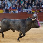 Castellón, domingo 24 de marzo de 2019