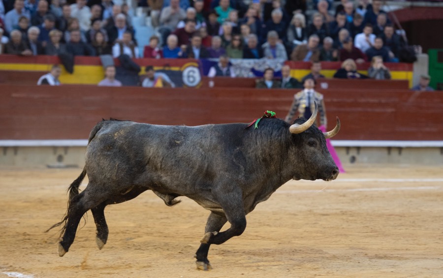 Castellón, domingo 24 de marzo de 2019